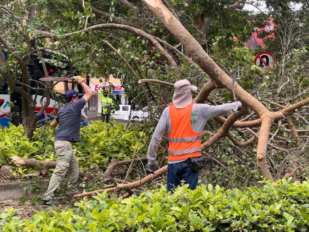 Distrito atiende emergencias ocasionadas por lluvia y fuertes vientos.